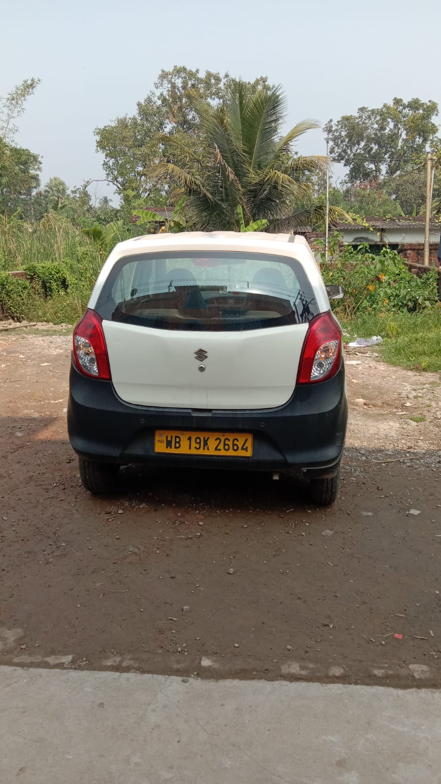 maruti suzuki alto 800 photo 2