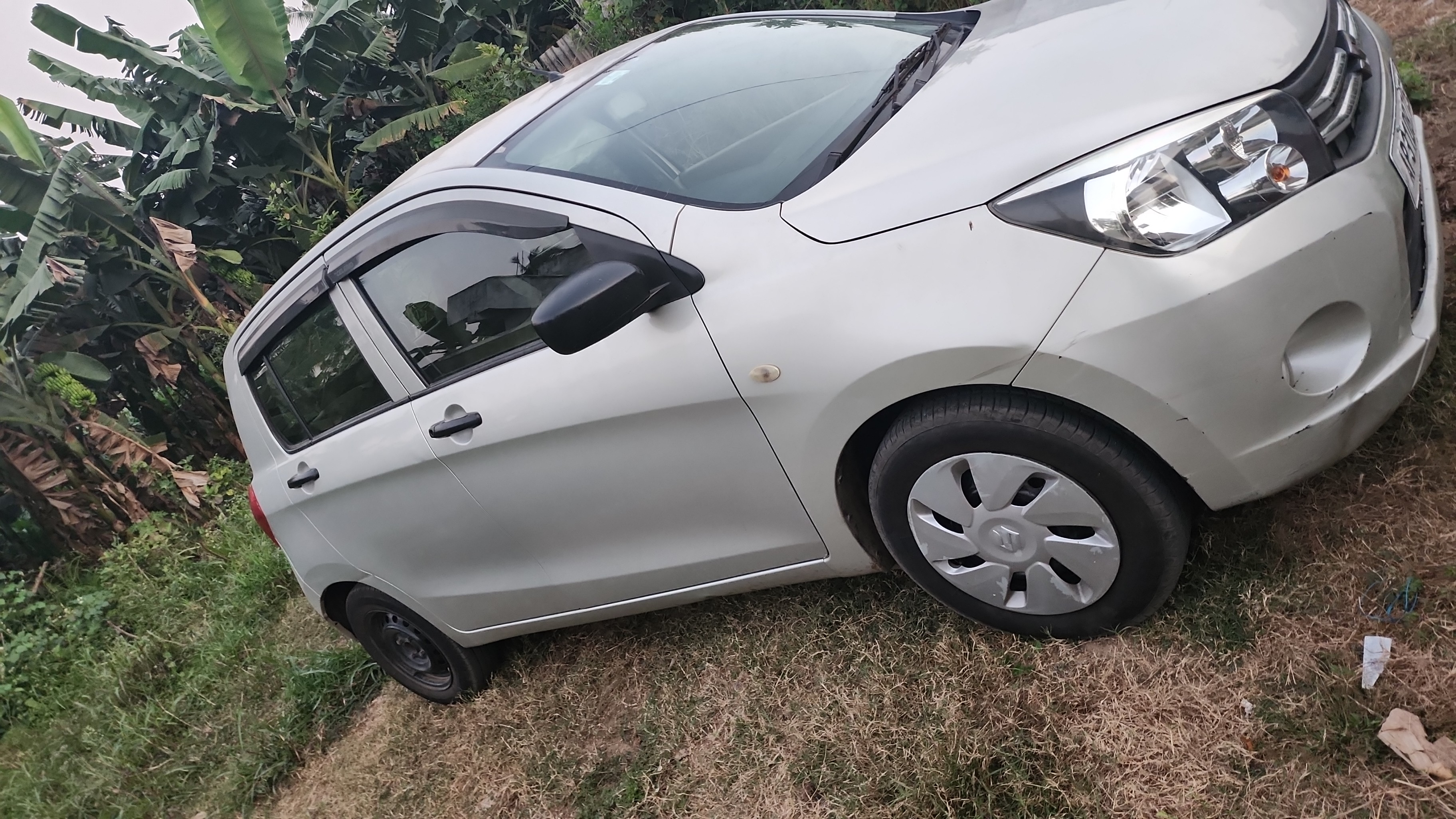 maruti suzuki celerio photo 4