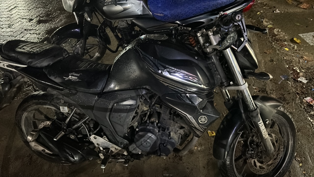 yamaha FZS FR & RR DISC photo 4